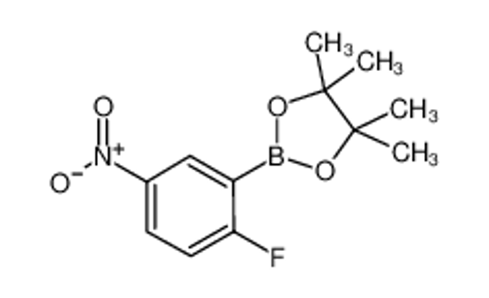 Picture of 2-Fluoro-5-Nitrophenylboronic Acid Pinacol Ester