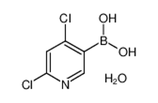 Picture of (4,6-dichloropyridin-3-yl)boronic acid,hydrate