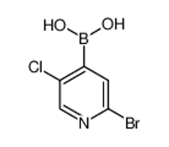 Picture of (2-Bromo-5-chloropyridin-4-yl)boronic acid