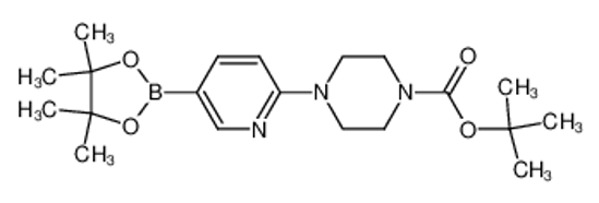 Picture of 2-[4-(N-Boc)piperazin-1-yl]pyridine-5-boronic acid pinacol ester