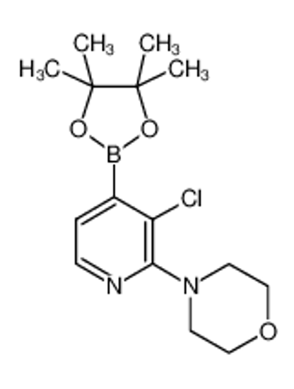 Picture of 4-[3-chloro-4-(4,4,5,5-tetramethyl-1,3,2-dioxaborolan-2-yl)pyridin-2-yl]morpholine