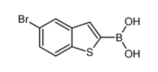 Picture of (5-Bromobenzo[b]thiophen-2-yl)boronic acid