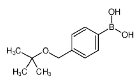 Picture of [4-[(2-methylpropan-2-yl)oxymethyl]phenyl]boronic acid