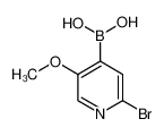 Picture of (2-bromo-5-methoxypyridin-4-yl)boronic acid