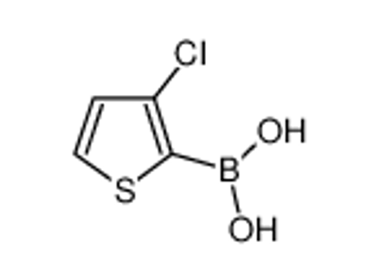 Picture of (3-chlorothiophen-2-yl)boronic acid