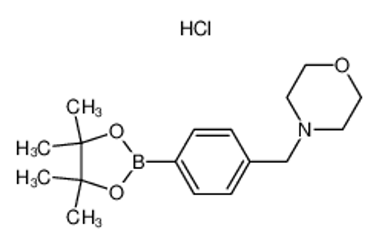 Picture of 4-[[4-(4,4,5,5-tetramethyl-1,3,2-dioxaborolan-2-yl)phenyl]methyl]morpholine,hydrochloride
