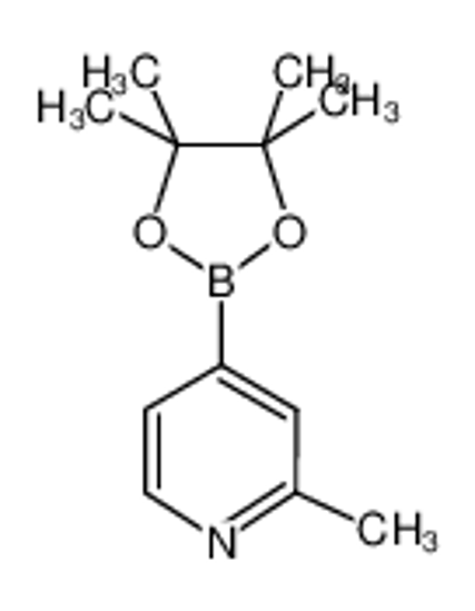 Изображение 2-Methyl-4-(4,4,5,5-tetramethyl-1,3,2-dioxaborolan-2-yl)pyridine