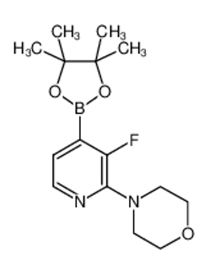 Picture of 4-[3-fluoro-4-(4,4,5,5-tetramethyl-1,3,2-dioxaborolan-2-yl)pyridin-2-yl]morpholine