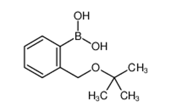 Picture of [2-[(2-methylpropan-2-yl)oxymethyl]phenyl]boronic acid