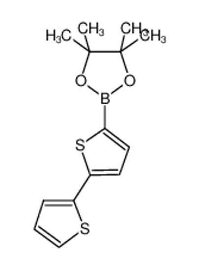 Picture of 2,2'-Bithiophene-5-boronic Acid Pinacol Ester
