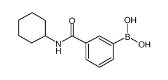 Picture of [3-(cyclohexylcarbamoyl)phenyl]boronic acid