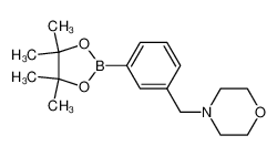 Picture of 4-(3-(4,4,5,5-Tetramethyl-1,3,2-dioxaborolan-2-yl)benzyl)morpholine