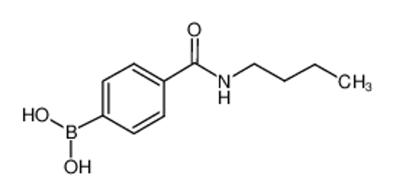 Picture of [4-(butylcarbamoyl)phenyl]boronic acid