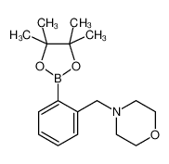 Picture of 4-[[2-(4,4,5,5-tetramethyl-1,3,2-dioxaborolan-2-yl)phenyl]methyl]morpholine