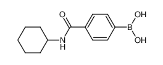Picture of (4-(Cyclohexylcarbamoyl)phenyl)boronic acid