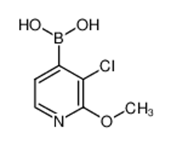 Picture of (3-Chloro-2-methoxypyridin-4-yl)boronic acid
