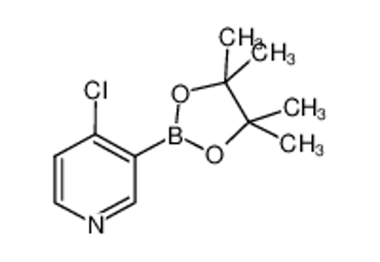 Picture of 4-chloro-3-(4,4,5,5-tetramethyl-1,3,2-dioxaborolan-2-yl)pyridine