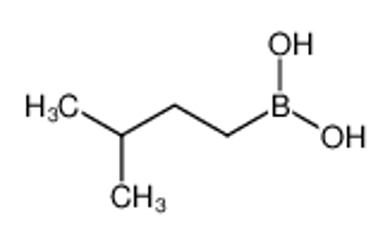 Picture of Isopentylboronic acid