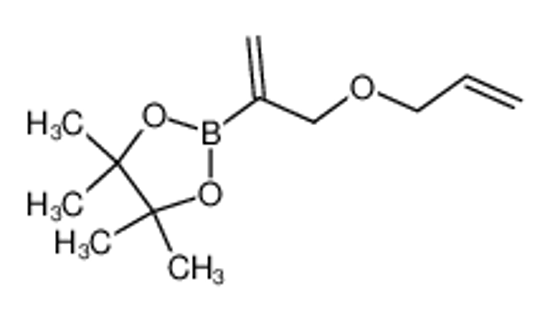 Imagem de 4,4,5,5-tetramethyl-2-(3-prop-2-enoxyprop-1-en-2-yl)-1,3,2-dioxaborolane
