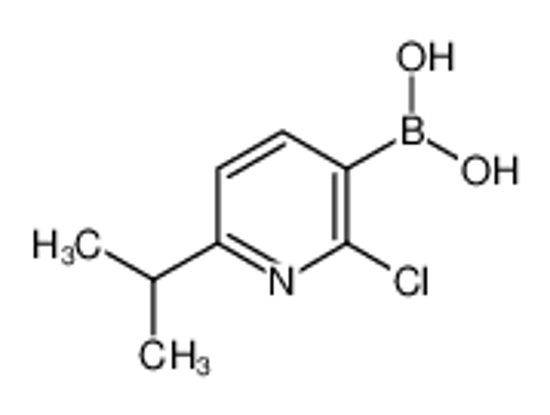 Picture of (2-Chloro-6-isopropylpyridin-3-yl)boronic acid