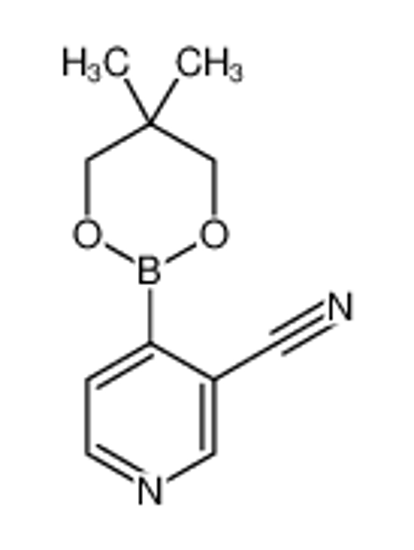 Изображение 4-(5,5-dimethyl-1,3,2-dioxaborinan-2-yl)pyridine-3-carbonitrile