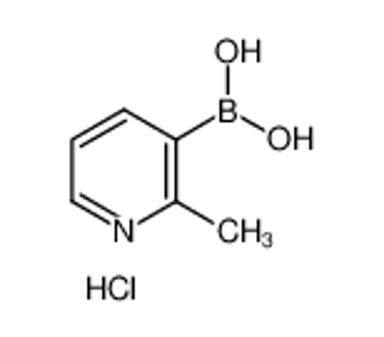 Picture of (2-methylpyridin-3-yl)boronic acid,hydrochloride