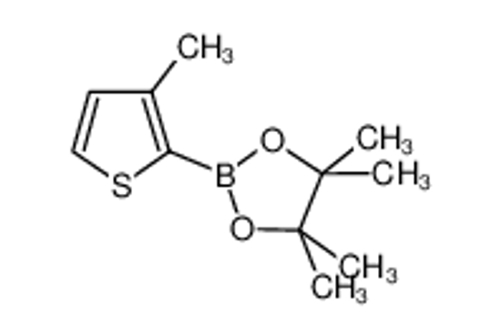 Изображение 4,4,5,5-Tetramethyl-2-(3-methylthiophen-2-yl)-1,3,2-dioxaborolane