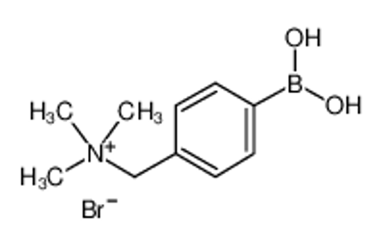 Picture of (4-boronophenyl)methyl-trimethylazanium,bromide