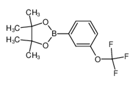 Picture of 4,4,5,5-tetramethyl-2-[3-(trifluoromethoxy)phenyl]-1,3,2-dioxaborolane