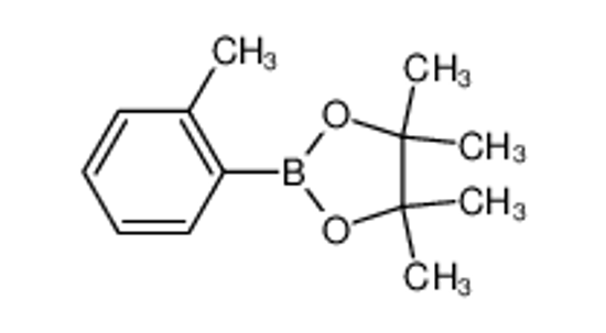 Imagem de 4,4,5,5-tetramethyl-2-(2-methylphenyl)-1,3,2-dioxaborolane