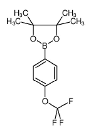 Изображение 4,4,5,5-tetramethyl-2-[4-(trifluoromethoxy)phenyl]-1,3,2-dioxaborolane