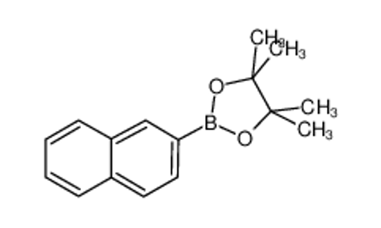 Изображение 4,4,5,5-tetramethyl-2-naphthalen-2-yl-1,3,2-dioxaborolane
