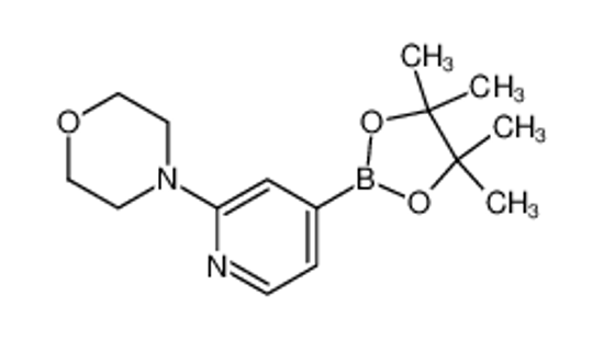 Изображение 4-[4-(4,4,5,5-tetramethyl-1,3,2-dioxaborolan-2-yl)pyridin-2-yl]morpholine