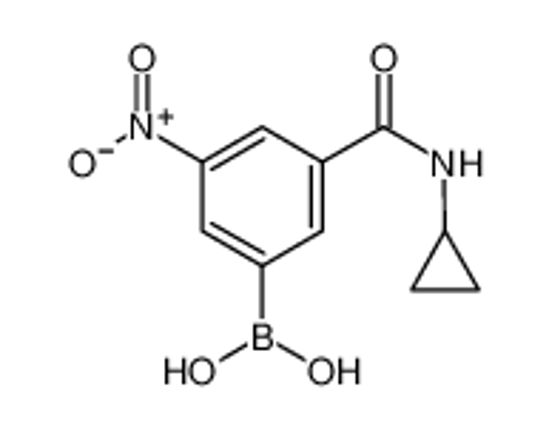 Picture of [3-(cyclopropylcarbamoyl)-5-nitrophenyl]boronic acid
