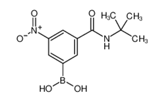 Picture of [3-(tert-butylcarbamoyl)-5-nitrophenyl]boronic acid