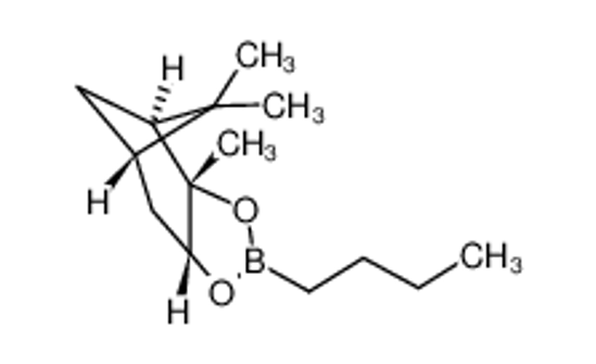 Picture of (3aS,4S,6S,7aR)-2-Butyl-3a,5,5-trimethylhexahydro-4,6-methanobenzo[d][1,3,2]dioxaborole