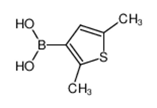 Imagem de (2,5-dimethylthiophen-3-yl)boronic acid