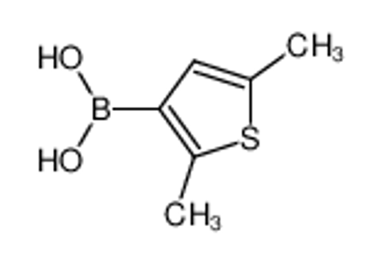 Picture of (2,5-dimethylthiophen-3-yl)boronic acid