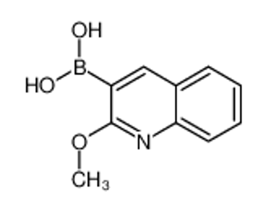 Picture of (2-methoxyquinolin-3-yl)boronic acid