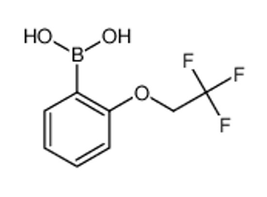 Picture of [2-(2,2,2-trifluoroethoxy)phenyl]boronic acid