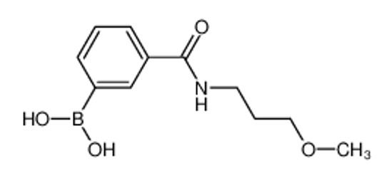 Picture of [3-(3-methoxypropylcarbamoyl)phenyl]boronic acid