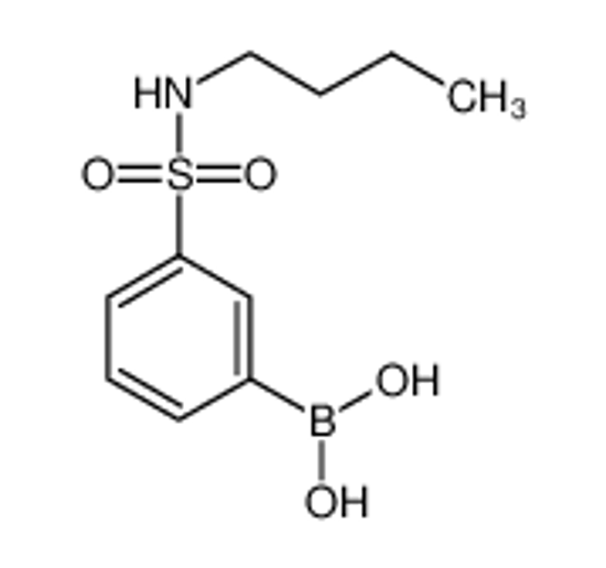 Picture of [3-(butylsulfamoyl)phenyl]boronic acid
