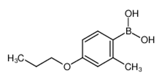 Picture of (2-methyl-4-propoxyphenyl)boronic acid