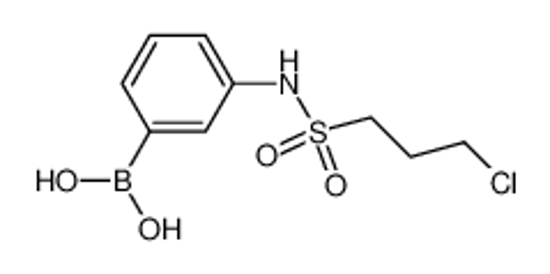 Picture of [3-(3-chloropropylsulfonylamino)phenyl]boronic acid