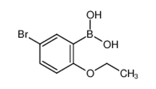 Imagem de (5-bromo-2-ethoxyphenyl)boronic acid