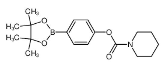 Изображение [4-(4,4,5,5-tetramethyl-1,3,2-dioxaborolan-2-yl)phenyl] piperidine-1-carboxylate