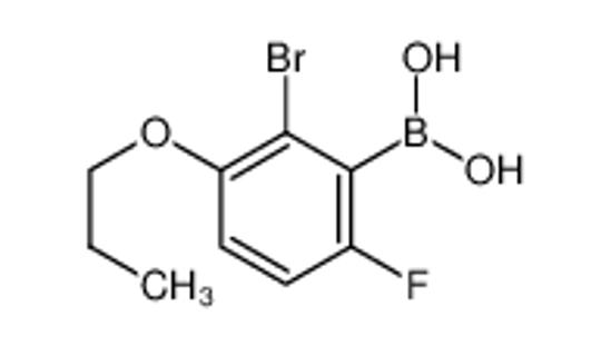 Picture of (2-bromo-6-fluoro-3-propoxyphenyl)boronic acid
