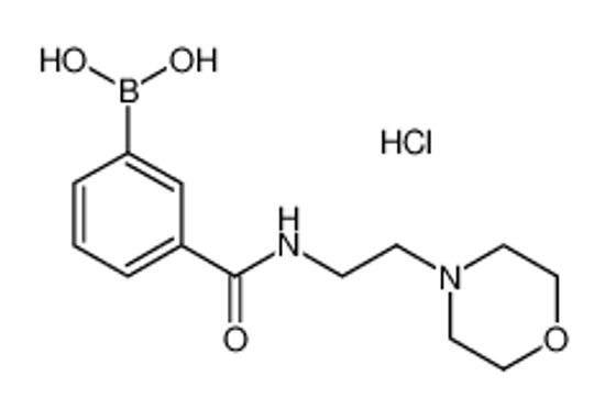 Picture of (3-((2-Morpholinoethyl)carbamoyl)phenyl)boronic acid hydrochloride