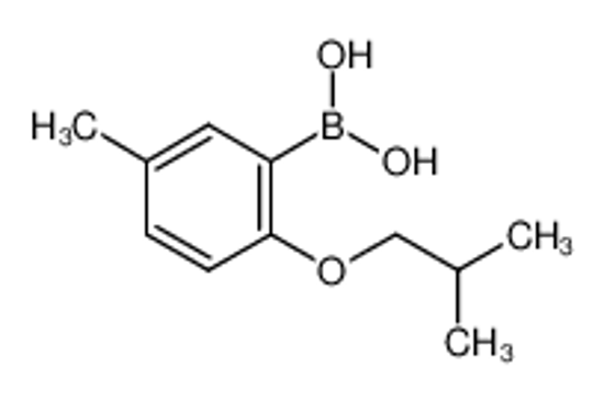Picture of 2-Isobutoxy-5-methylphenylboronic acid