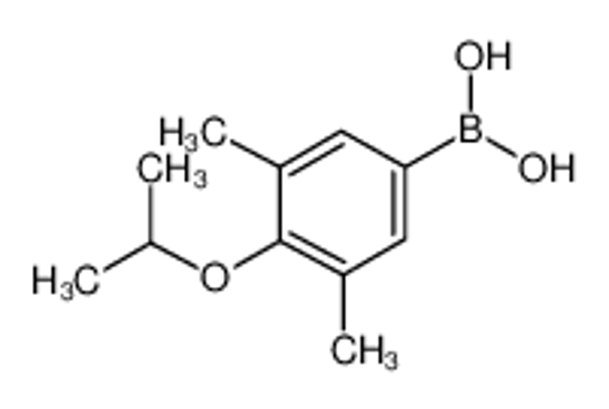 Picture of 3,5-Dimethyl-4-isopropoxyphenylboronic acid